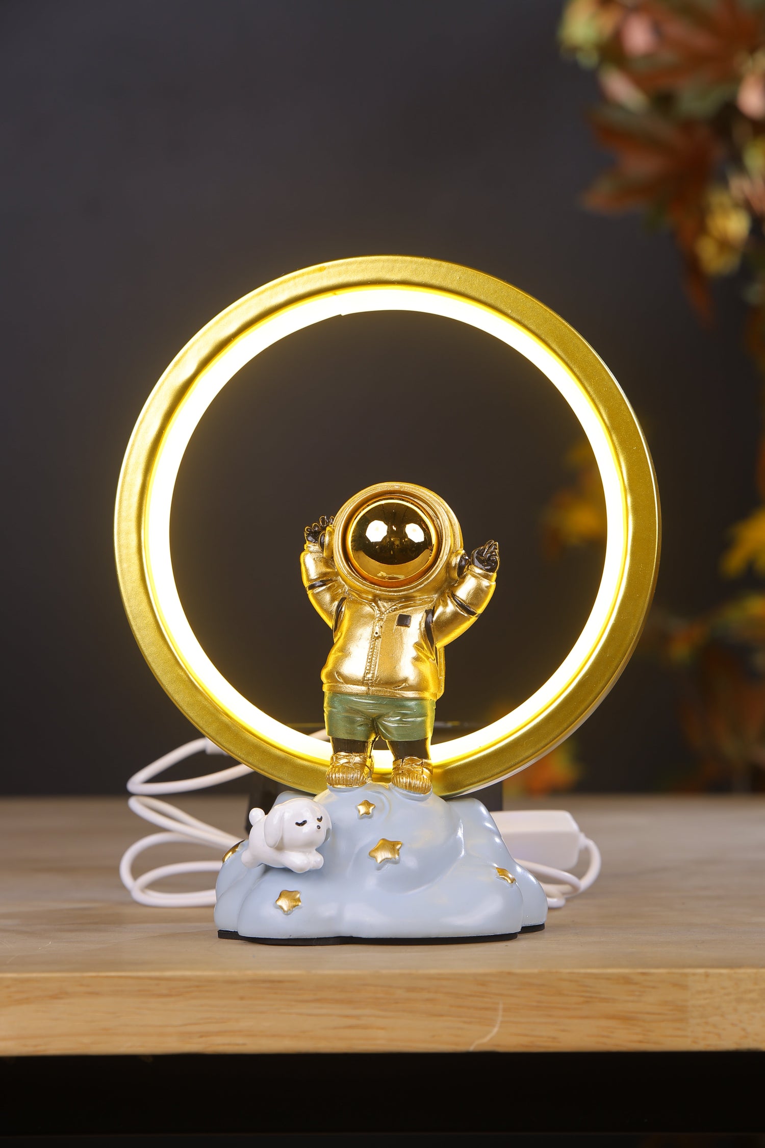 Designer Lamps