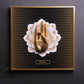 Trishool Yog Mudra Wall Art