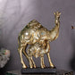 Rajasthani Desert Camel Showpiece Golden Finish, Pair
